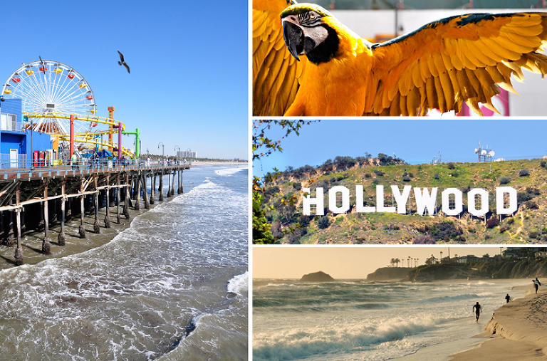 Hollywood & Santa Monica