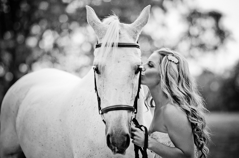 Bride kissing horse